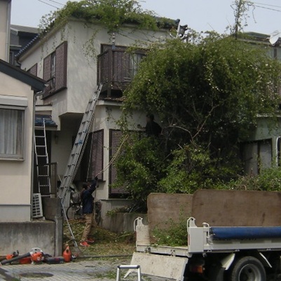 ���b�R�E�o���𔰍�